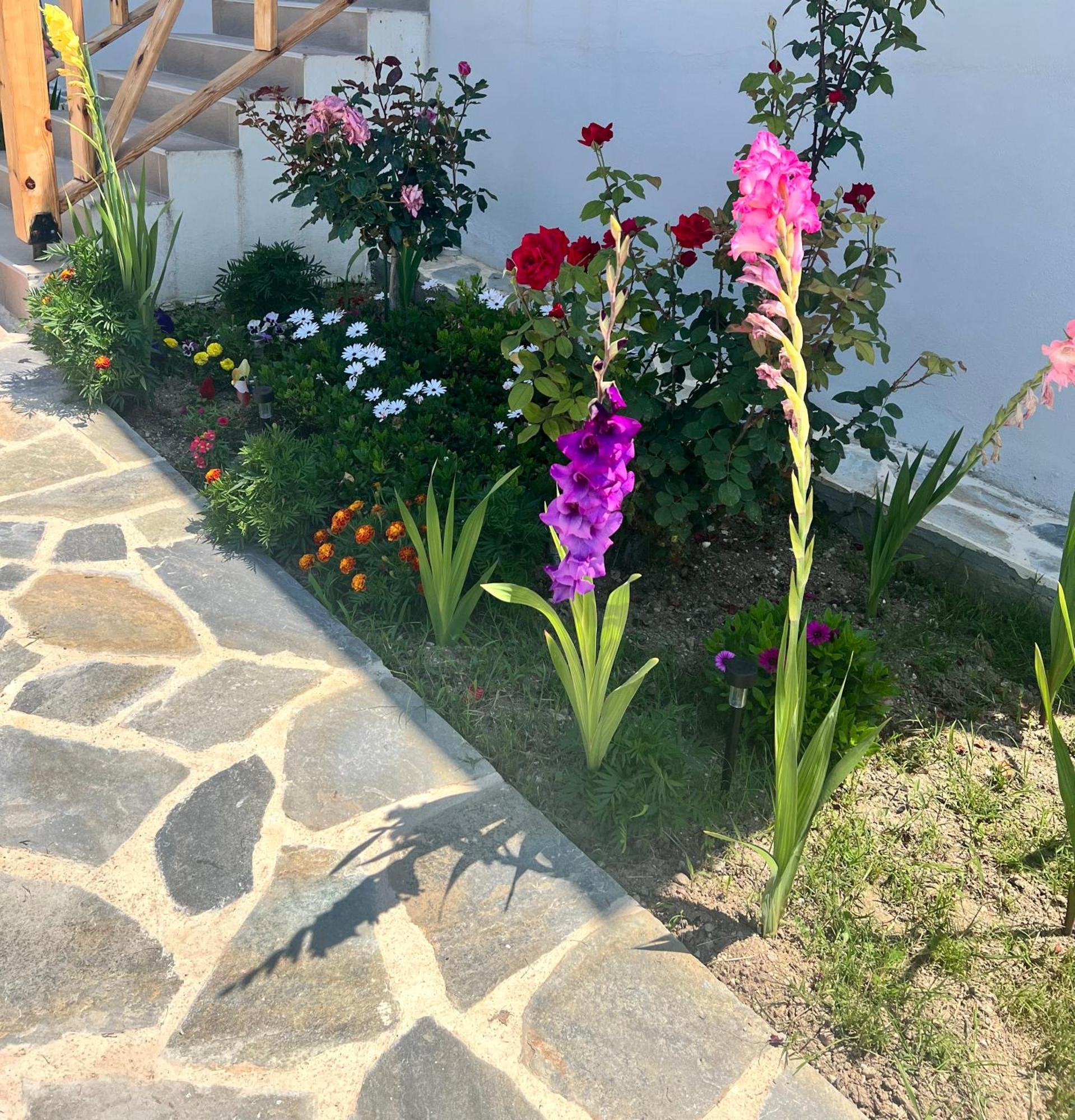 Beachfront Villa Athina Vergia Luaran gambar